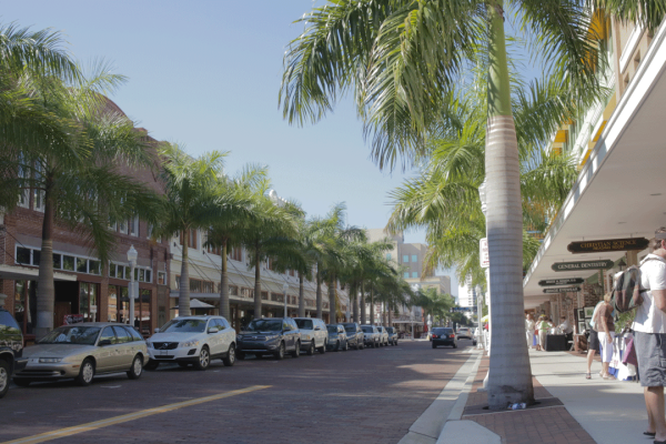 About Lee MPO 1 Fort Myers Street Photo