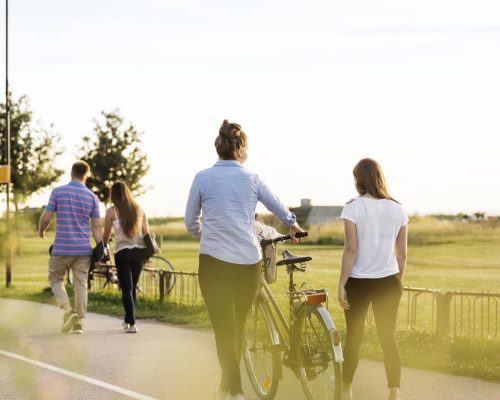 Bicycle Pedestrians Photo