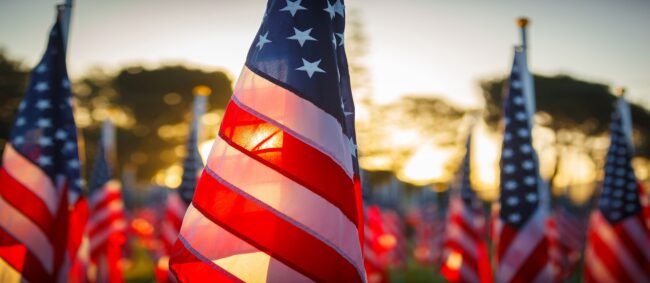 American Flags Image